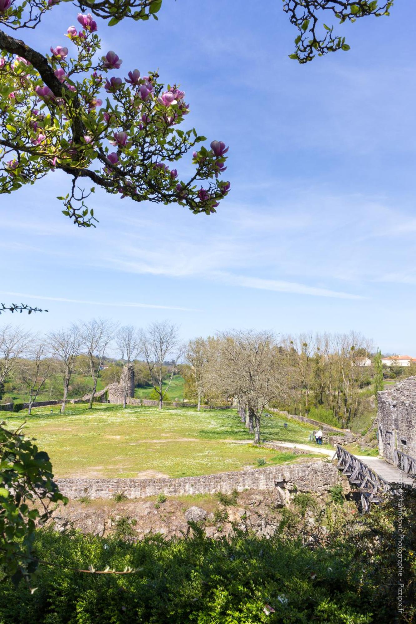Petite Maison Medievale Parthenay Eksteriør bilde